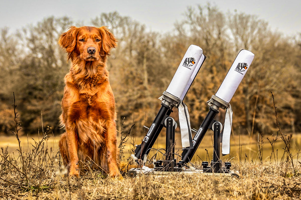 Gunners Up Dog Ramp RRT Launcher, the pioneer of gun dog training launchers and bumper