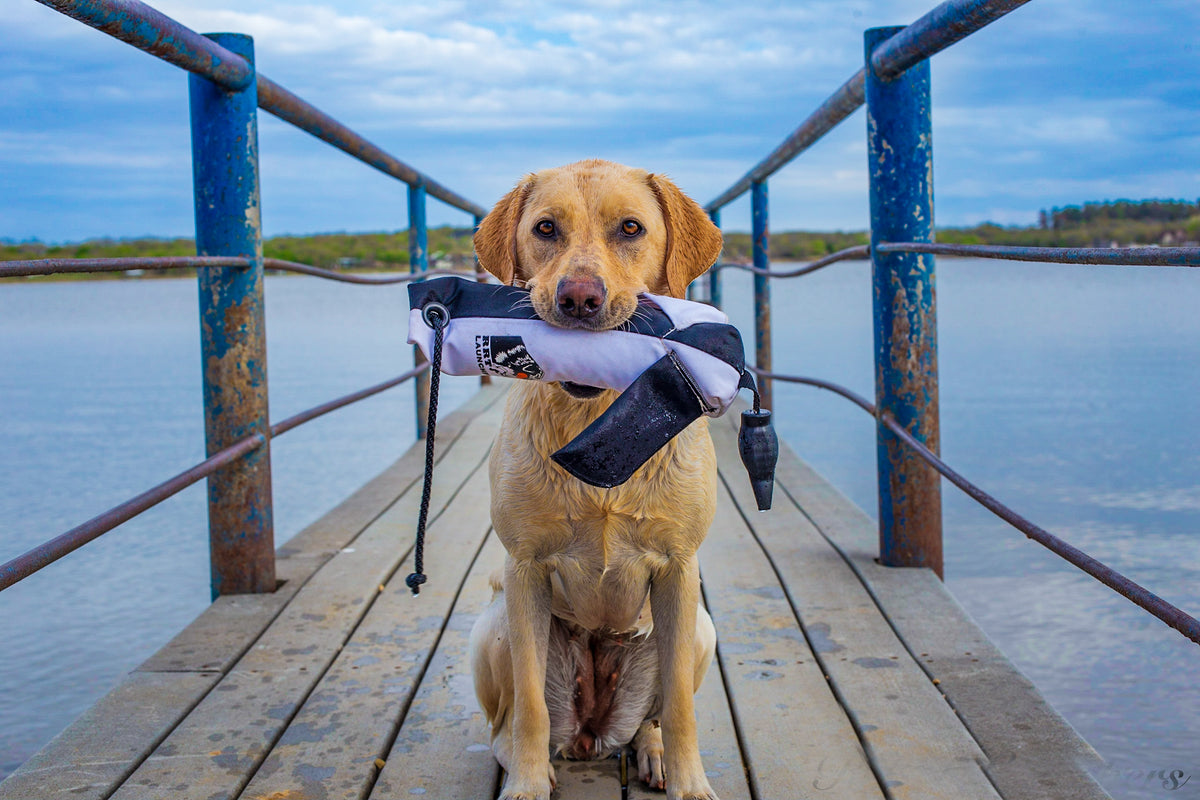 RRT Launcher, the pioneer of gun dog training launchers and bumper