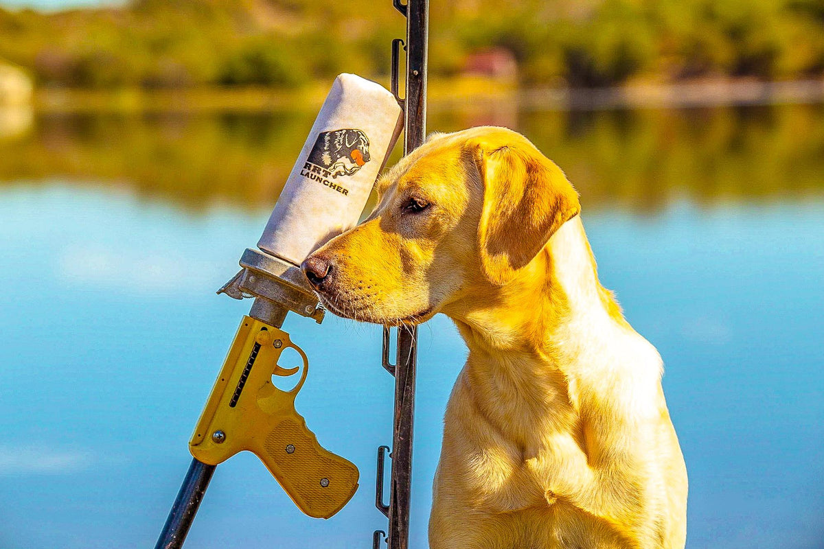 Gunners Up Dog Ramp RRT Launcher, the pioneer of gun dog training launchers and bumper