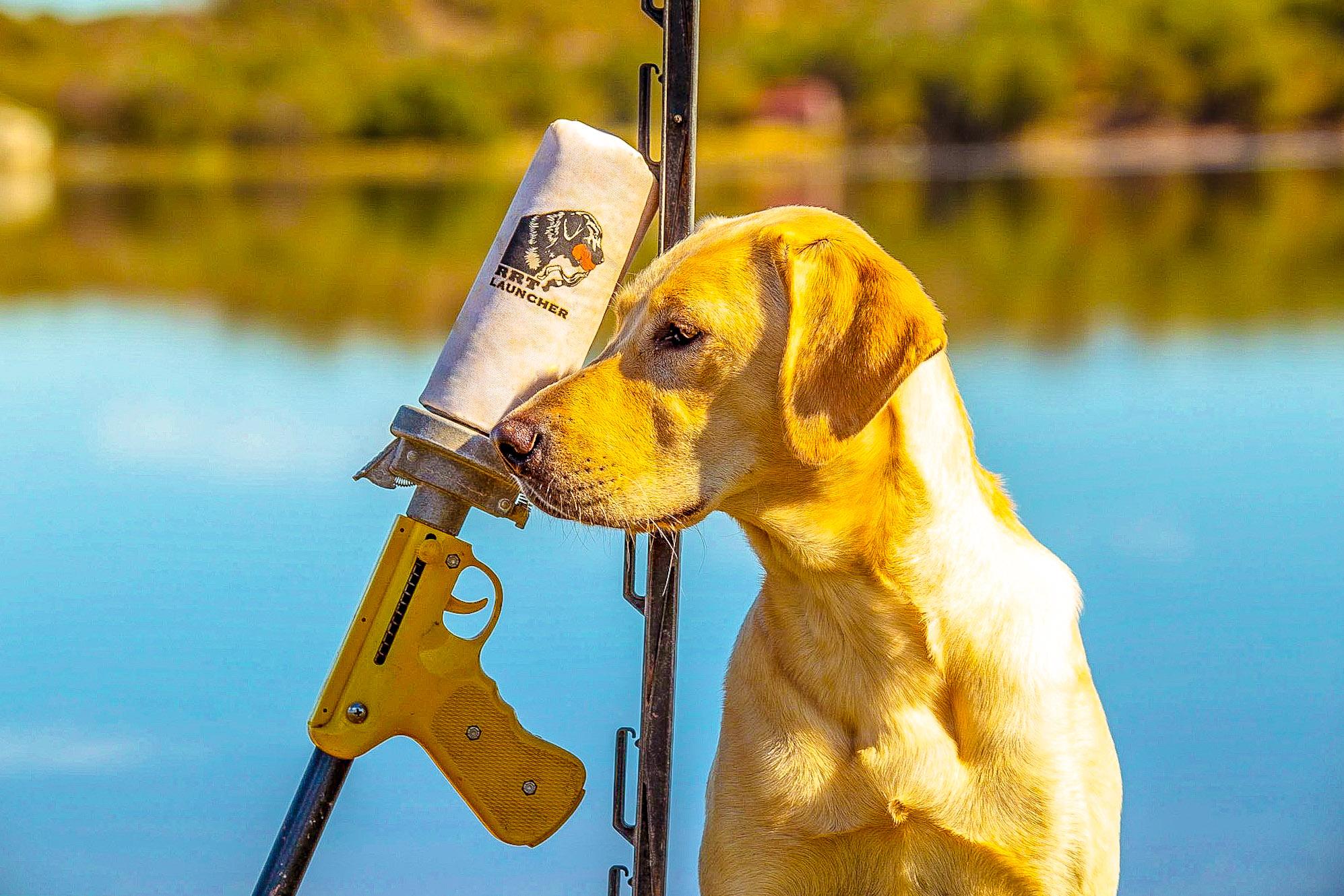 RRT Launcher, the pioneer of gun dog training launchers and bumper